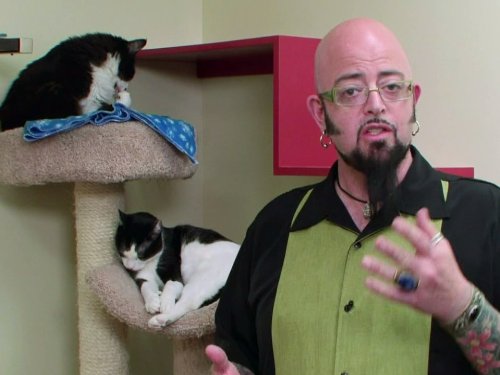 Jackson Galaxy