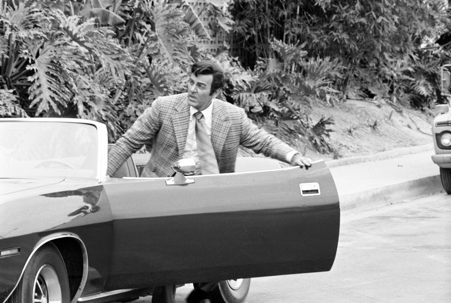 Mike Connors