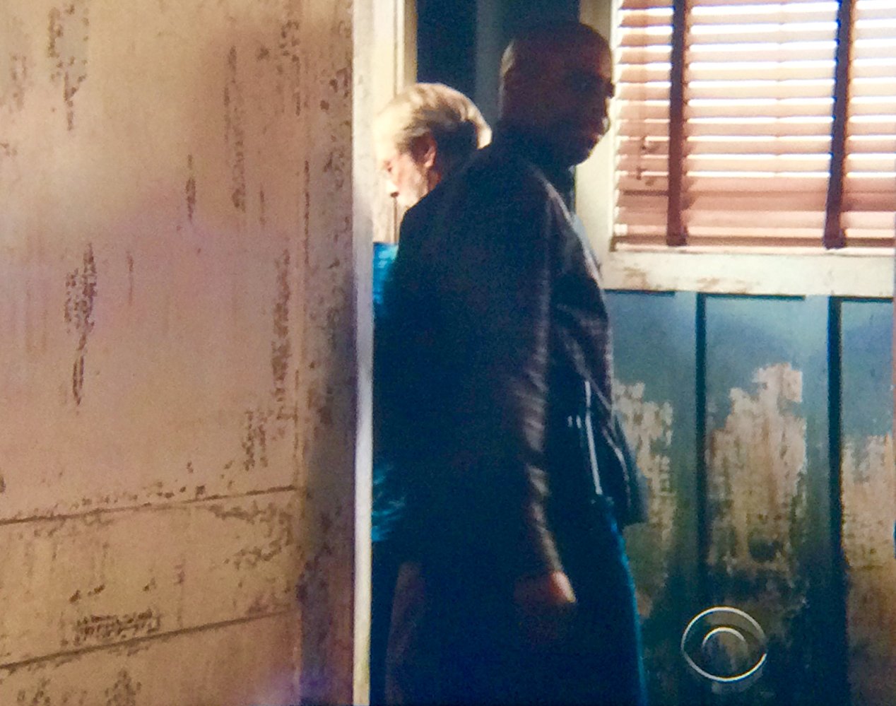 NCIS Agent Thompson