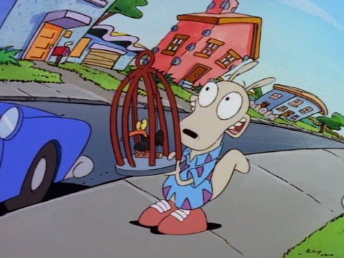 Rocko