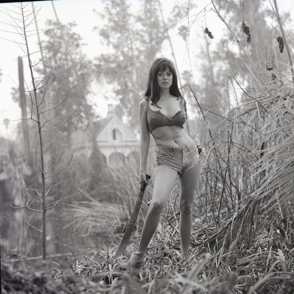 Phyllis Davis