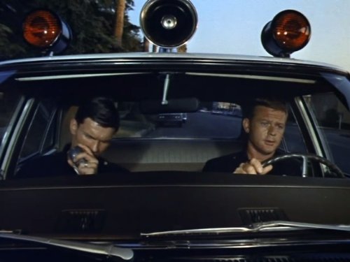 Martin Milner
