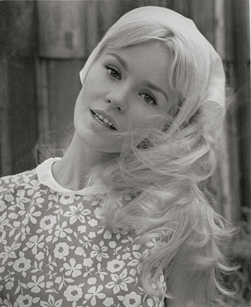 Sue Ann Stepanek