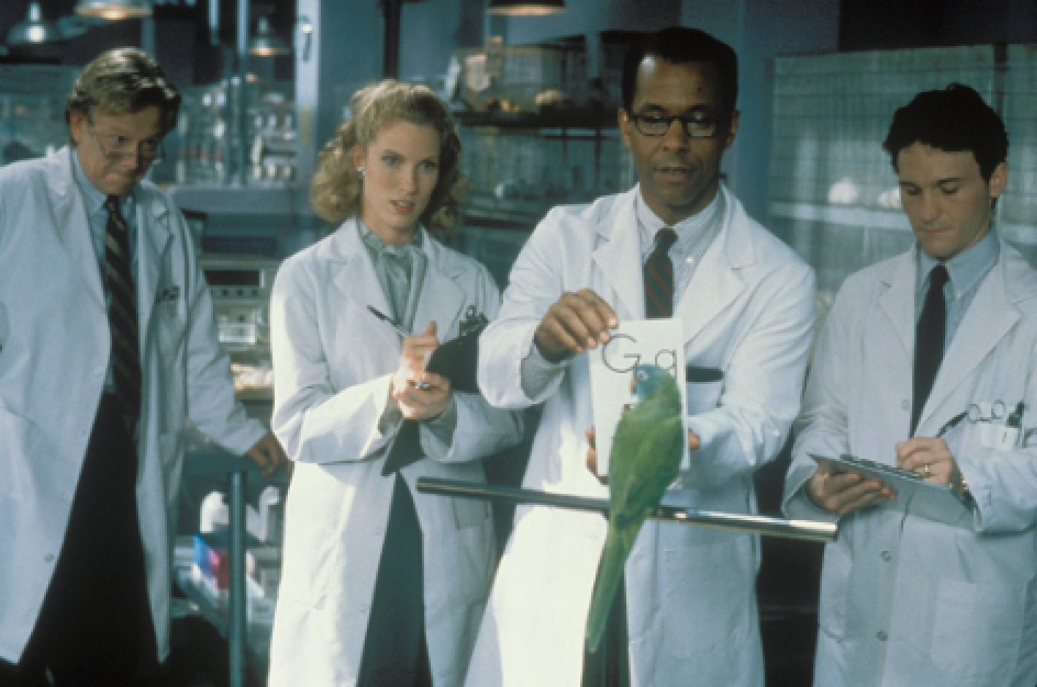 Dr. Reingold