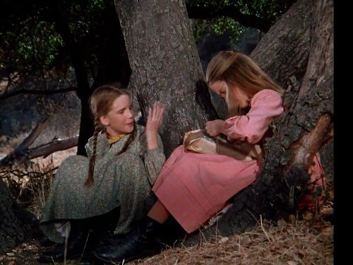 Melissa Gilbert