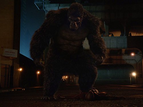 Gorilla Grodd