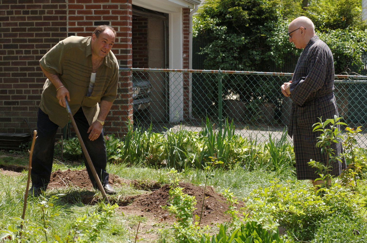 Dominic Chianese